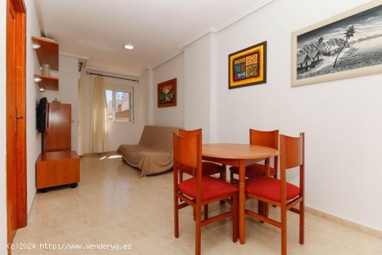 GRAN APARTAMENTO EN TORREVIEJA, 2 HAB, 1 BAÑO - ALICANTE