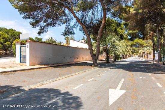 Terreno Urbano en La Zenia, Orihuela Costa - ALICANTE