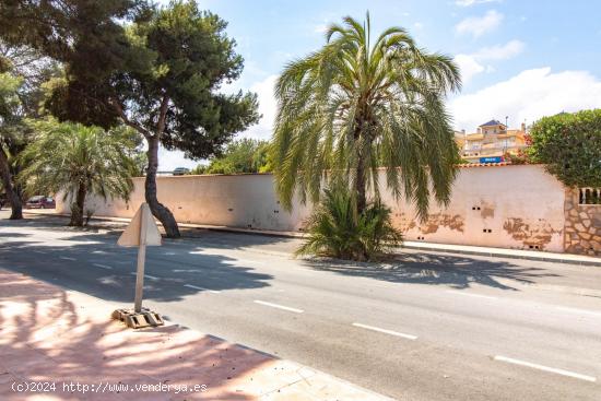 Terreno Urbano en La Zenia, Orihuela Costa - ALICANTE