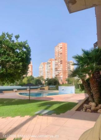 Se Vende en Benidorm - ALICANTE