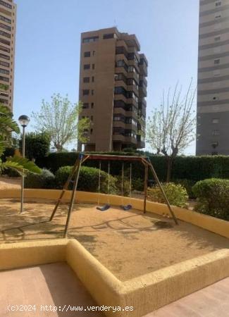 Se Vende en Benidorm - ALICANTE