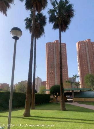 Se Vende en Benidorm - ALICANTE