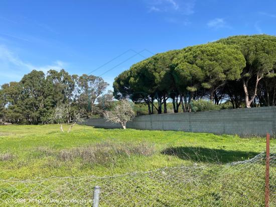 Se venden parcelas rústicas en la zona de Campano - CADIZ