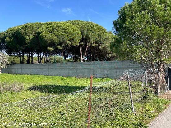 Se venden parcelas rústicas en la zona de Campano - CADIZ