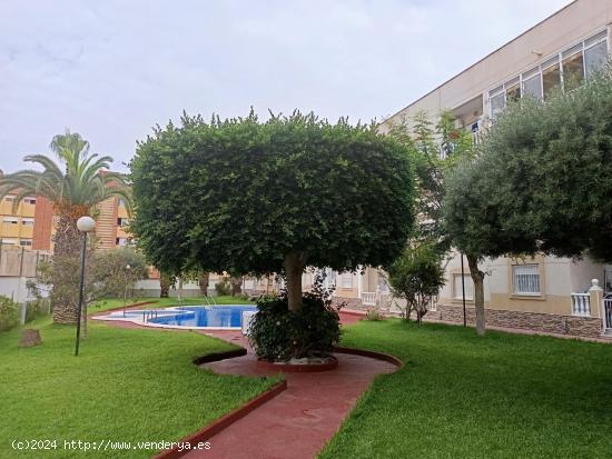 SE VENDE APARTAMENTO CON PISCINA A 600M DE LA PLAYA Y CON PLAZA DE GARAJE EN TORREVIEJA - ALICANTE