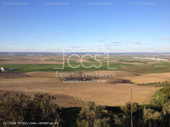 SE VENDE Finca 17,5ha de olivar en Valencina de la Concepción - Aljarafe