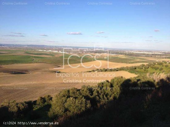 SE VENDE Finca 17,5ha de olivar en Valencina de la Concepción - Aljarafe