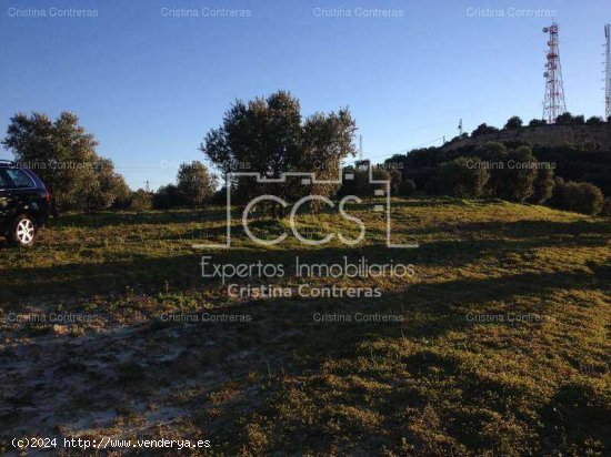 SE VENDE Finca 17,5ha de olivar en Valencina de la Concepción - Aljarafe