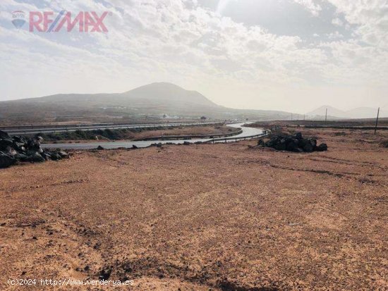 SE VENDE RÚSTICA, SUERTE DE TIERRA CORRAL HERMOSO CERCADO DEL AYUDANTE - Teguise