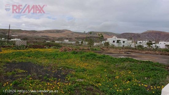 SE VENDE Gran oportunidad de inversión constructores - Teguise