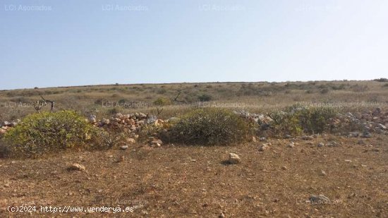 SE VENDE Parcela/Finca en Venta en Teguise - Teguise