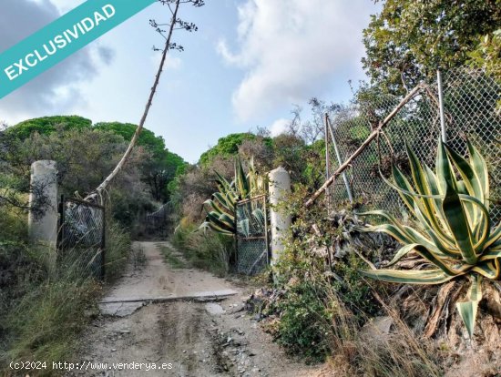 FINCA RÚSTICA SECANA EN EL MUNICIPIO DE SANT POL DE MAR