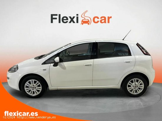 Fiat Punto 1.2 8v Easy 69 CV S&S Gasolina - Salamanca