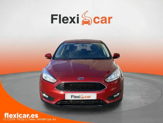 Ford Focus 1.5 TDCi E6 120 Business Pow. Sportbr. - Irun