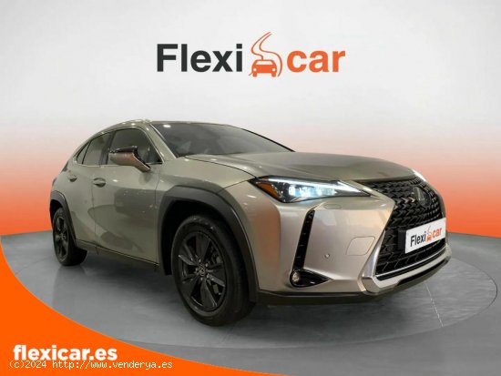 Lexus UX 2.0 250h Business - Granada