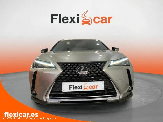 Lexus UX 2.0 250h Business - Granada