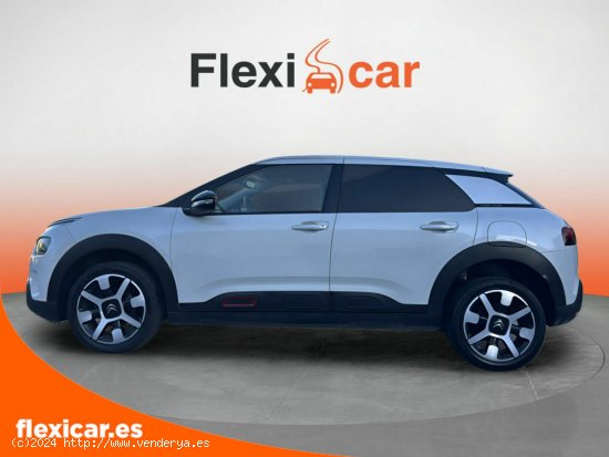 Citroën C4 Cactus BlueHDi 73KW (100CV) Feel - Alicante