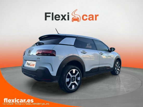 Citroën C4 Cactus BlueHDi 73KW (100CV) Feel - Alicante