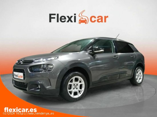 Citroën C4 Cactus PureTech 110 S&S Feel - Reocín