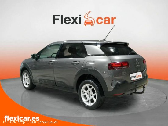 Citroën C4 Cactus PureTech 110 S&S Feel - Reocín