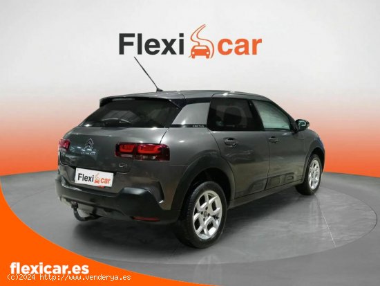 Citroën C4 Cactus PureTech 110 S&S Feel - Reocín