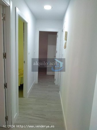 SE ALQUILA PISO / 3 DORMITORIOS/ PEREZ PASTOR/ 750 €