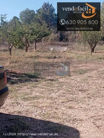 SE VENDE PARCELA RÚSTICA EN PEÑAS DE SAN PEDRO DE 1500 METROS POR 40000€