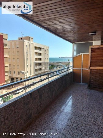 Alquilofacil-murcia alquila esta estupenda vivienda en la zona de alicante torrevieja