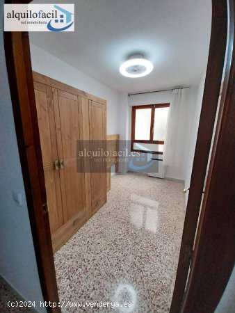 Alquilofacil-murcia alquila esta estupenda vivienda en la zona de alicante torrevieja