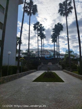 BELLO PISO LARGA TEMPORADA AL FRENTE CENTRO COMERCIAL MIRAMAR FUENGIROLA