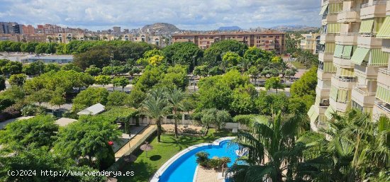 APARTAMENTO PLAYA DE SAN JUAN