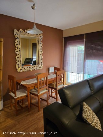 VIVIENDA UNIFAMILIAR ADOSADA EN VIA PARQUE II, PARTIDA DE SAN BLAS