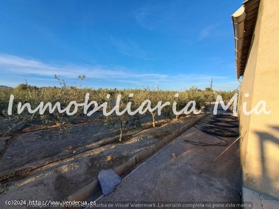 Se vende finca de 20.100m2 aprox, en Puerto Lumbrera