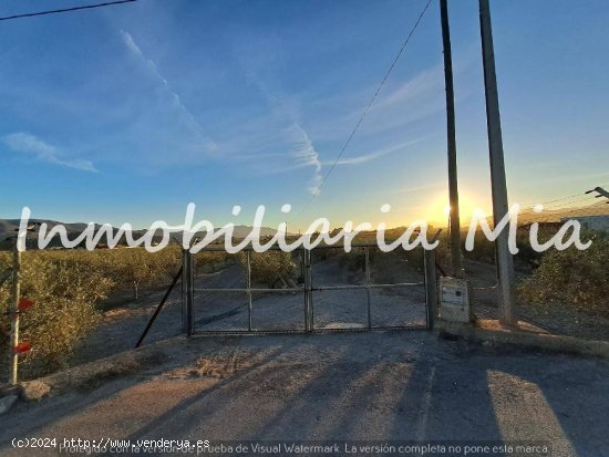 Se vende finca de 20.100m2 aprox, en Puerto Lumbrera