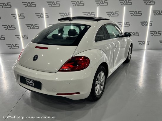 Volkswagen Beetle 1.6 TDI 105cv Beetlemanía - Figueres