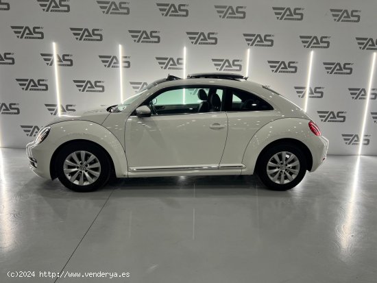 Volkswagen Beetle 1.6 TDI 105cv Beetlemanía - Figueres