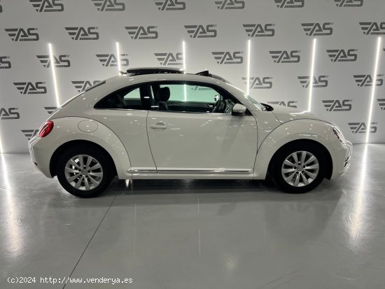 Volkswagen Beetle 1.6 TDI 105cv Beetlemanía - Figueres