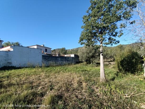 ¡Terreno llano en la entrada de Les Palmeres! - BARCELONA