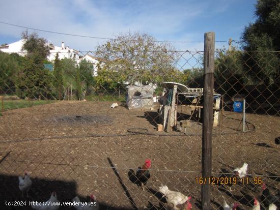 CASA CON PARCELA CERCA DE VEJER DE LA FRA - CADIZ