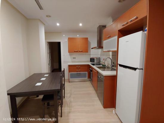 VIVIENDA CENTRICA - ALICANTE