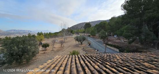 ¡Increíble oportunidad en Hondón de las Nieves! - ALICANTE