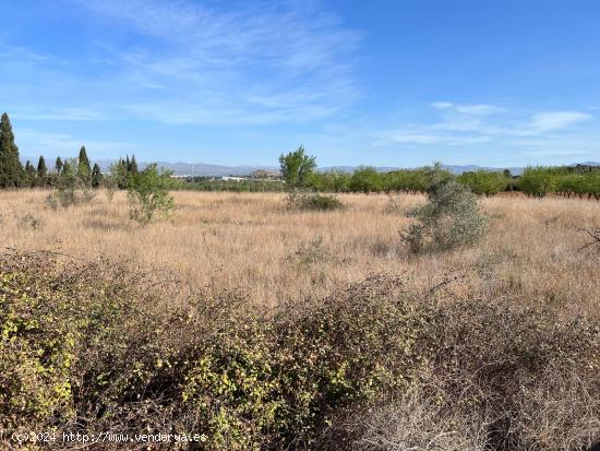 FINCA RUSTICA PARA EL CULTIVO - VALENCIA