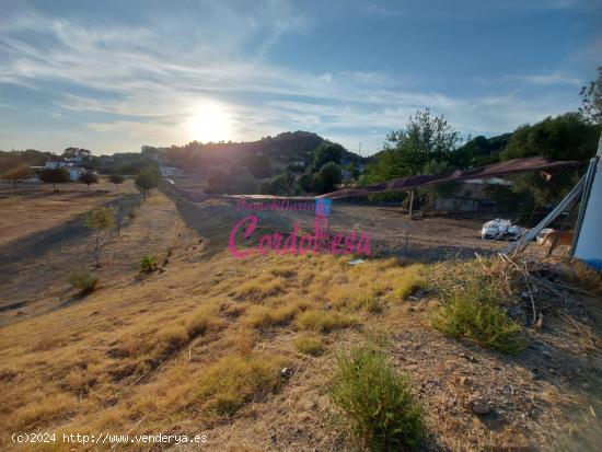 MAGNIFICO TERRENO CON PISCINA EN ALCOLEA. IDEAL PARA HACER SU CASA A SU GUSTO!!! - CORDOBA