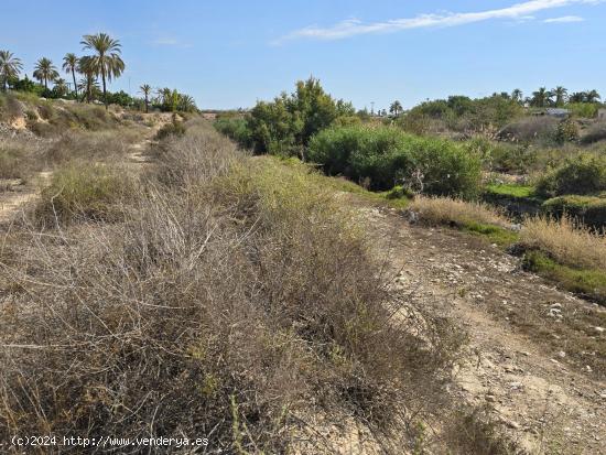 ¡TERRENO A 5 MINUTOS DE ELCHE! - ALICANTE