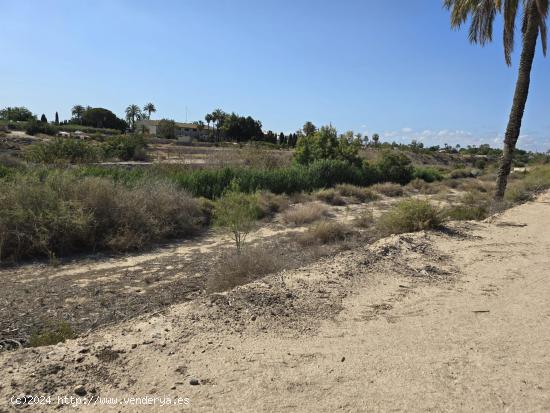 ¡TERRENO A 5 MINUTOS DE ELCHE! - ALICANTE