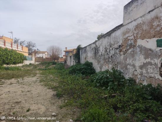 ESTUPENDA PARCELA URBANA - CADIZ