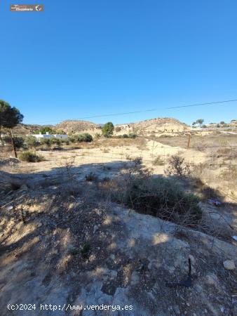 CORTIJO EN RAMBLA  QUEMADOS,PECHINA - ALMERIA