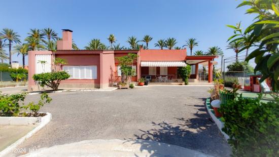 VENTA CHALET, CASA INVITADOS, PISCINA, PISTA DEPORTIVA, HUERTO, ZONA HOSPITAL ELCHE - ALICANTE