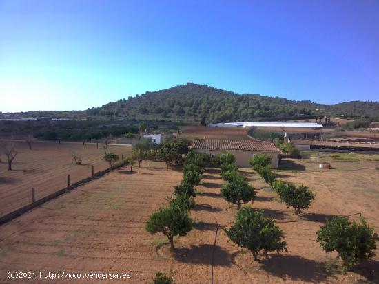 Finca rústica en Porreres - BALEARES