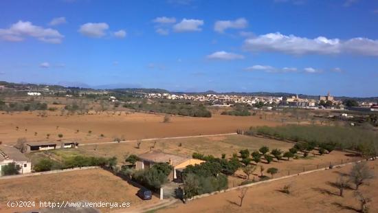 Finca rústica en Porreres - BALEARES